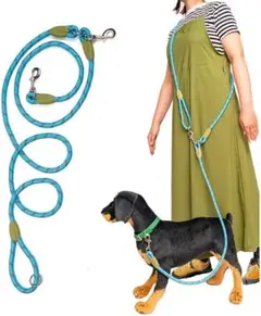 Item thumbnail for item bb7b47fd-92be-4abf-a502-5be54076f74e