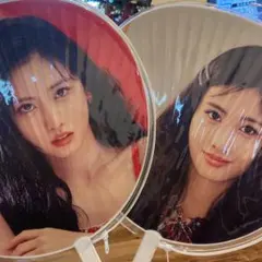 ‼最終値下げ‼️TWICE WORLD TOUR モモうちわ