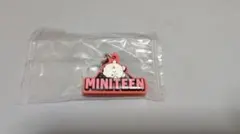SEVENTEEN　MINITEEN キーホルダー ウジ