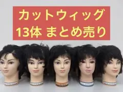 Item thumbnail for item 5c6a9a3e-55ac-48e8-9504-e277c81c9df0