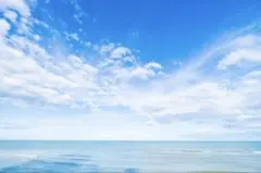 17090073専用〇△‪✕‬