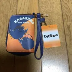 か*‬様 【ハイキュー!!】 烏野高校 キーケース ヒナガラス カゲガラス