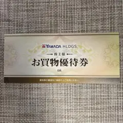 YAMADA HLDGS ヤマダ電機　お買い物優待券 6枚　3000円分
