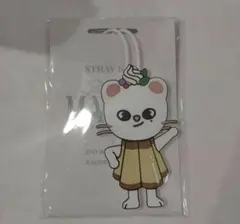 2026年最新】ラゲッジタグ スキズの人気アイテム - メルカリ