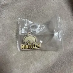 MINITEEN ぷっくりめじるしアクセサリー DOA