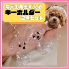 犬モチーフ 透明チャーム キーリング アニマル雑貨　毛玉　ガチャ