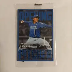 tamu様 リクエスト 2点 まとめ商品