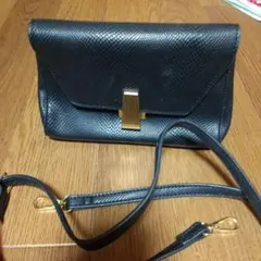 ブラック ショルダーバッグ フラップ式