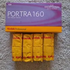 Kodak PORTRA 160 4×5 10枚 期限切れ Kodak PORTRA 160 4×5 10枚 期限切れ - メルカリ
