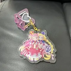 プリティ犬袋　わんだふるぷりきゅあ　アクキー　アクリルカラビナキーホルダー