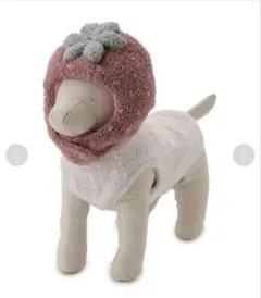 ジェラートピケ