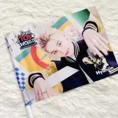 開封のみ 未使用✨ヒョンジン フォトフラッグ スキズ SKZ TOY WORLD