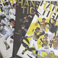 2026年最新】阪神タイガース優勝記念クリアファイルの人気アイテム