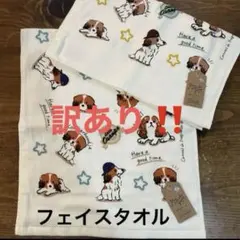 Item thumbnail for item 85c3c7c6-58c4-4df4-b378-79a074173172