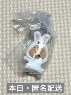 StrayKids スキズ ガチャ つまんでつなげてますこっと ハン