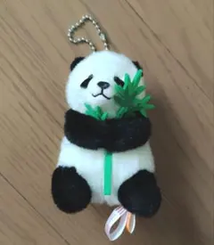 上野動物園 シャオシャオ レイレイ ぬいぐるみ 暁暁 蕾蕾 ペアパンダ