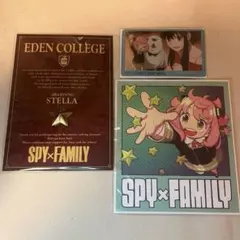 SPY×FAMILY SPY×FAMILY展 ステラ 映画 特典 色紙 カード