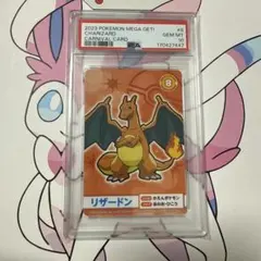 ナゲトレ 리자몽 포켓몬