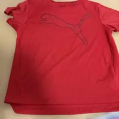 PUMA レッド Tシャツ 150サイズ