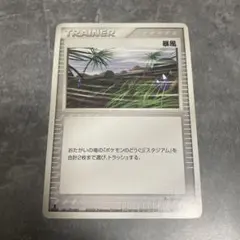 2026年最新】暴風 ポケモンカードの人気アイテム - メルカリ