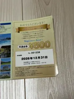 ナガシマスパーランド　共通金券