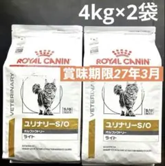 Item thumbnail for item 507e5039-8abe-477e-8bd9-8575846fb72d