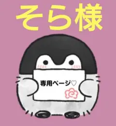 そら様 リクエスト 2点 まとめ商品
