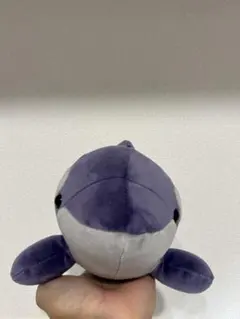 神戸須磨シーワールド シャチ ぬいぐるみ