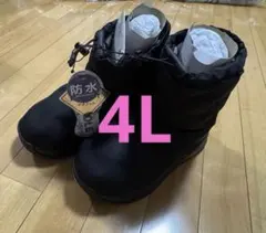 Item thumbnail for item 6e12e82d-cc73-44de-ac79-dd549558f01d