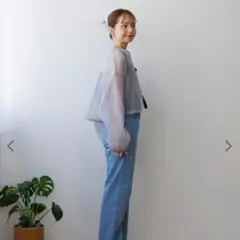 美品＊flower　シアーシャツ　グレー　衿付き　ショート丈　完売品　ブラウスのサムネイル