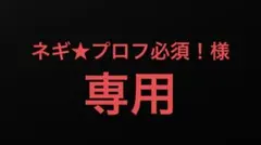 ネギ★プロフ必須！様 リクエスト 2点 まとめ商品