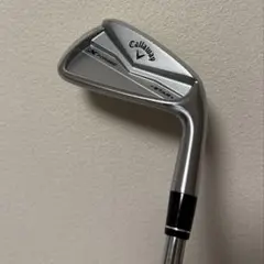 Item thumbnail for item 15519d03-ca97-4c17-9a7e-8d98bbb3c8a0