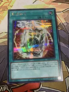 コバヒロ様 リクエスト 2点 まとめ商品