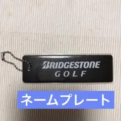 Item thumbnail for item 41b3d215-5bbf-429e-8832-2b224c294d7f