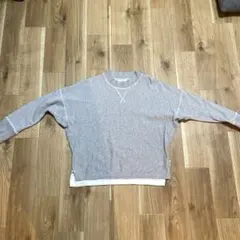 スウェット トレーナー グレー F 薄手　chambre de charmeのサムネイル