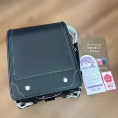 Item thumbnail for item 3bb8e8c9-5a04-4ff0-9360-9c15859b4c98