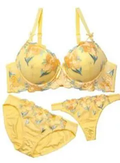 tバック セット