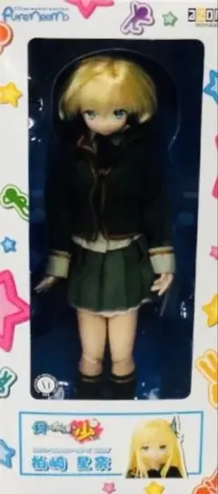 アゾン ピュアニーモ けいおん! 秋山澪 ドール フィギュア - メルカリ