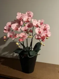 ピンク 胡蝶蘭 アートフラワー 鉢花 高さ約65cm