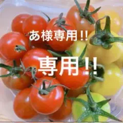 あ様専用！ヴィクトリアシークレットボストン　ショルダーベルト付き　大容量　旅行