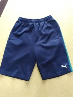 PUMA ネイビー/グリーン ショートパンツ