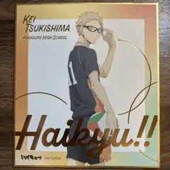 ハイキュー!! 月島 蛍