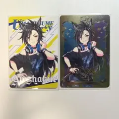 ウマ娘プリティーダービー Bic camera ビックカメラ エアシャカール