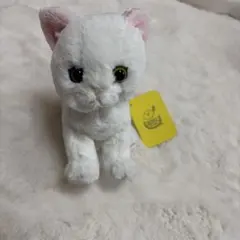 サンレモン　白猫　kitten ぬいぐるみのサムネイル