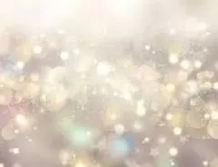 はなちゃんママ様専用★