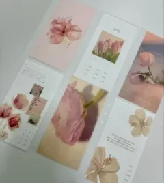 Item thumbnail for item af16b28a-f503-46c2-9610-428ee34da2b0