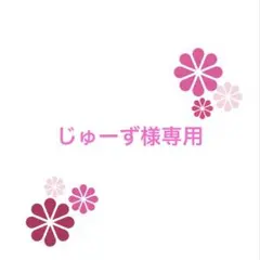 じゅーず様専用ページ