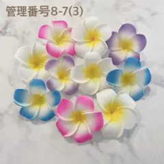 琉球*海のたね 海花⭐︎ マリンフラワーD ハーバリウム花材 - メルカリ