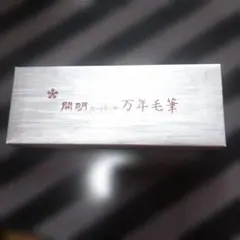 Item thumbnail for item 730f5012-821d-4f76-b885-5f7ce5fc667b