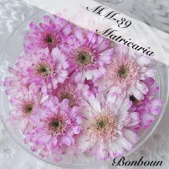 Item thumbnail for item 4f8f7dcd-f986-41d6-8b3d-3f80e534cee1